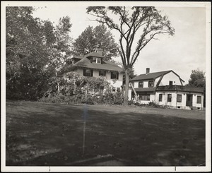 Campus: fall, hurricane damage, 1954 (Groveside & the Stack)