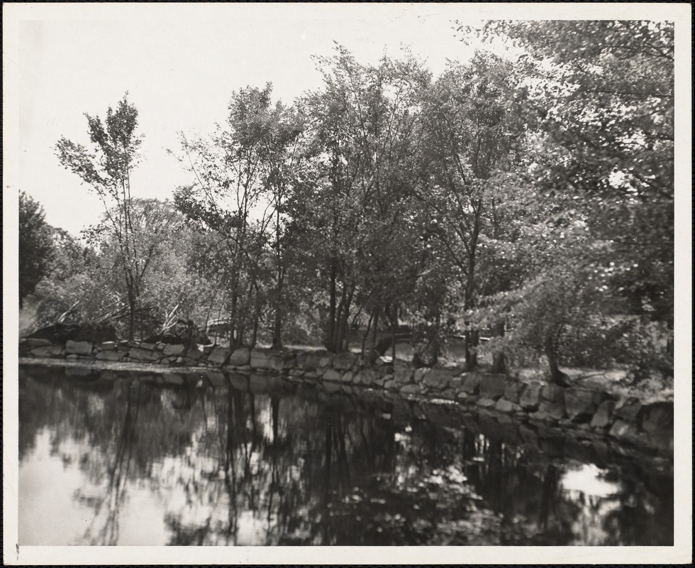 Campus: fall, hurricane damage, 1954