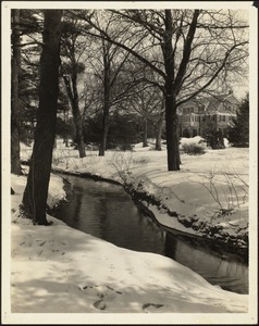 Brook in winter, Wheeler in background