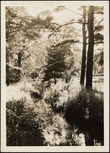 The brooke, 1947. Pine Manor