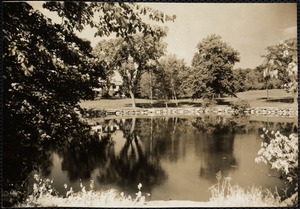 Pond. Pine Manor