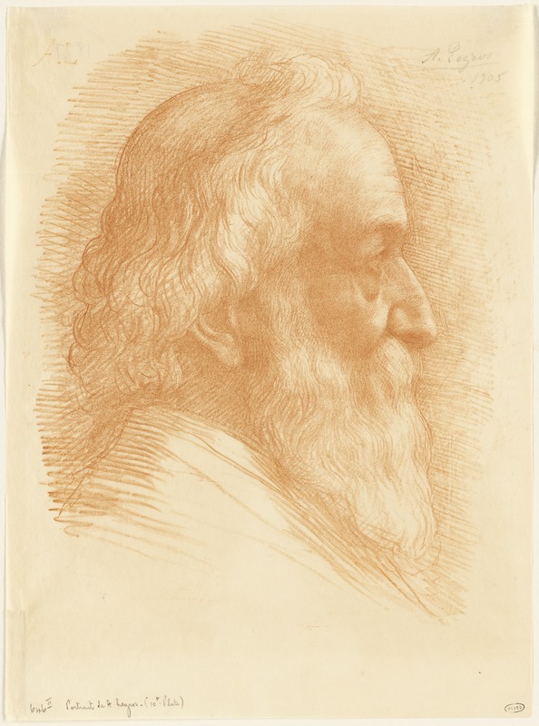 Portrait of Alphonse Legros (10th Plate)