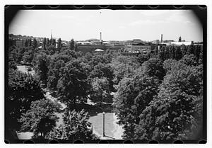 Black Forest and views from roof - Gertrude Sands