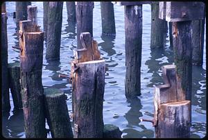 Old pier pylons, Boston