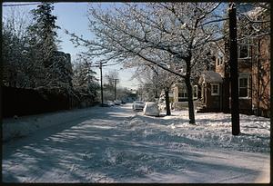 Snowy view of intersection of Carver and Museum Streets, Cambridge, Massachusetts