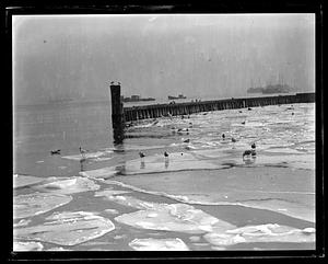 South Boston Fish Pier
