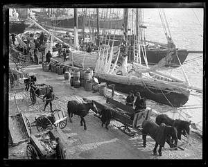 Ice covered fishing boats unloading fish to waiting carts