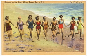 Romping on the sunny shore at Ocean Grove, N. J.
