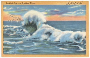 Sea gulls dip over breaking waves,