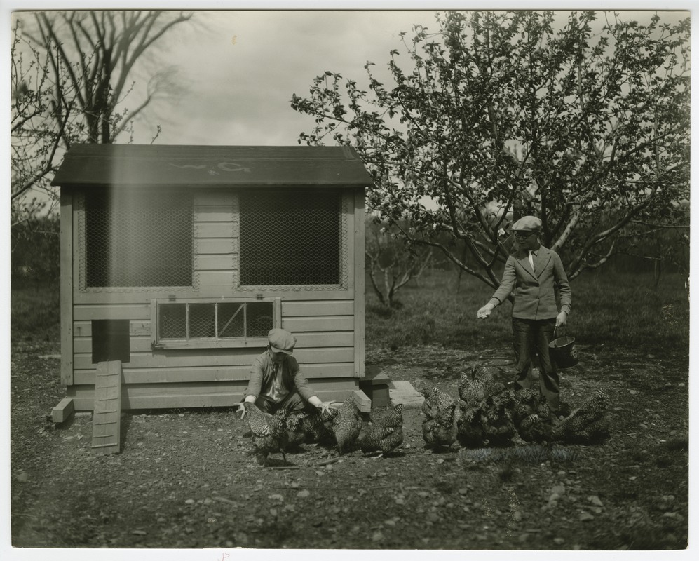 Poultry Yard, Primary Boys Department, Perkins School for the Blind