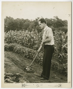 Hoeing a Field, Perkins School for the Blind