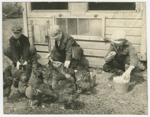 Poultry Yard, Boys' Primary Department, Perkins School for the Blind