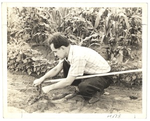 Attaching a Hoe to a Guide Wire, Perkins School for the Blind