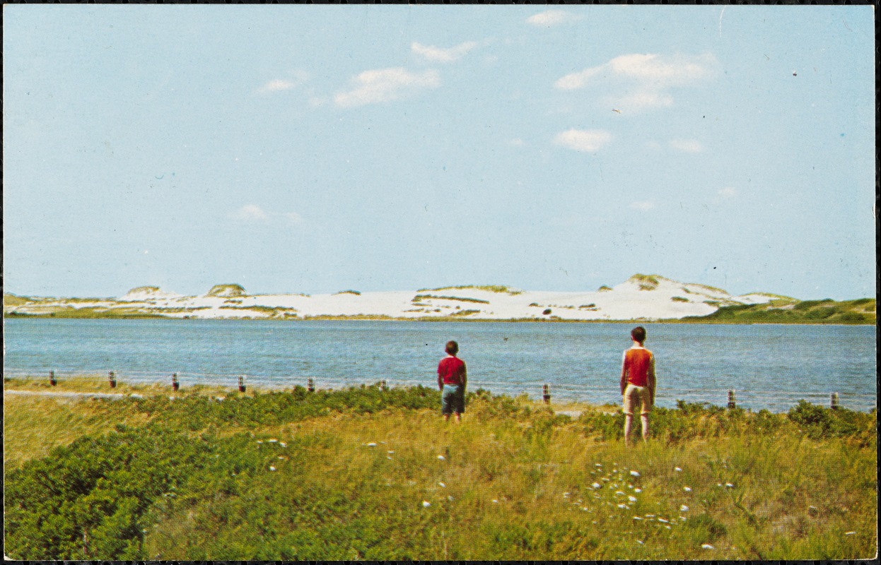 Dunes with Pilgrim Lake, Cape Cod, Mass. Digital Commonwealth
