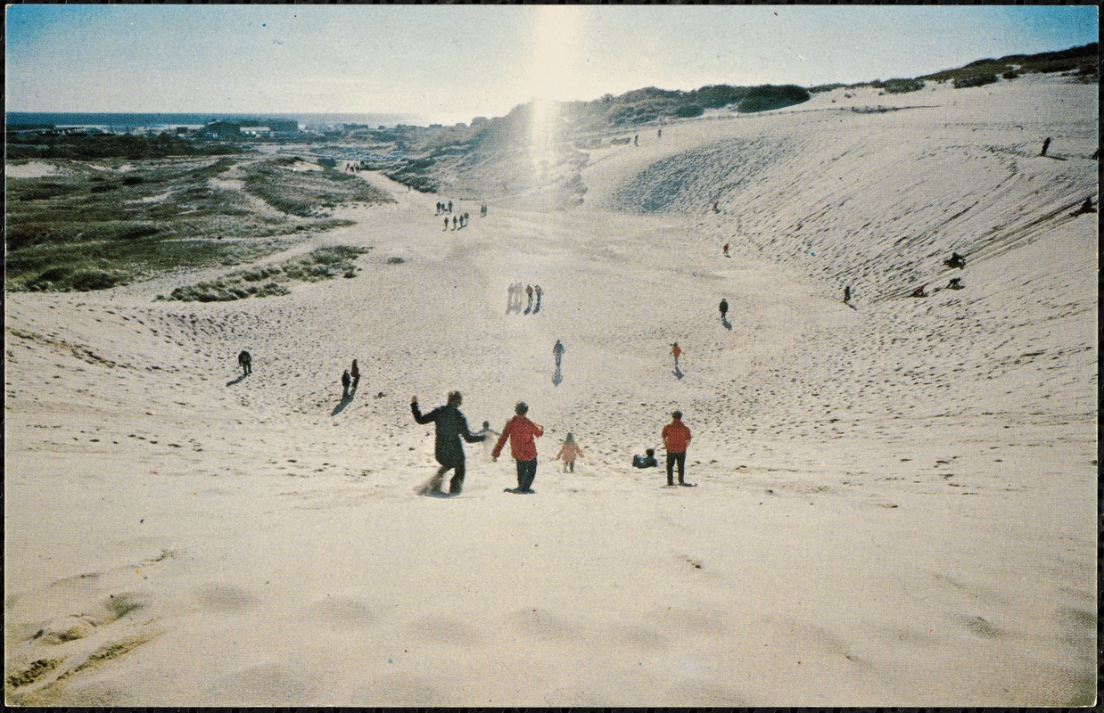 View from top of the sandpit, North Truro, Cape Cod, Mass.