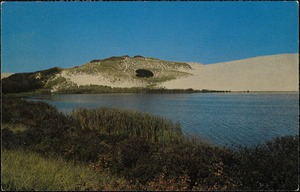 Sand dunes of Cape Cod