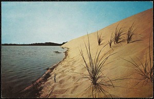 Beach grass and the sand dune at the water's edge. Cape Cod.