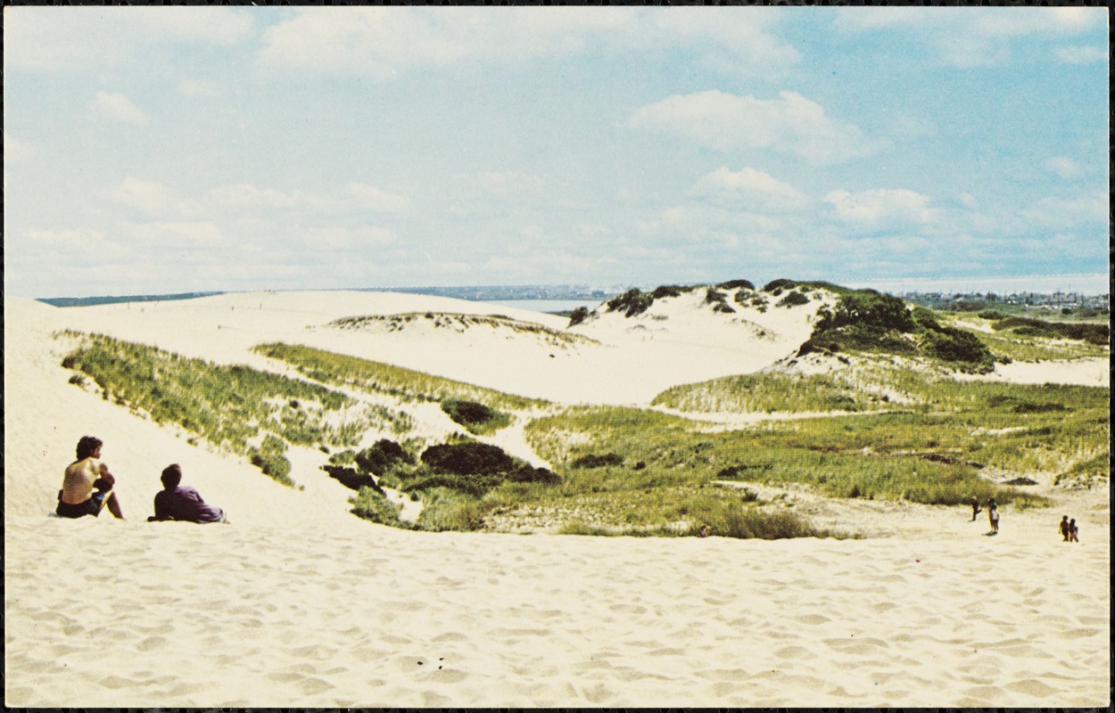 Shifting sand dunes, Cape Cod, Mass. Digital Commonwealth