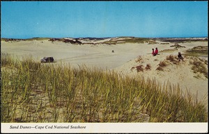 Sand dunes, Cape Cod National Seashore
