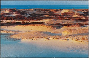 Provincetown dunes, Cape Cod, Mass.