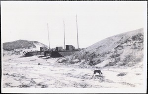Unidentified structures on beach