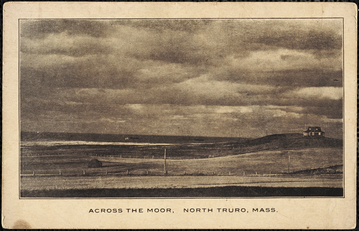 Across the moor, North Truro, Mass.