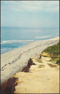 Cape Cod, Mass. Beach and dunes