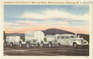 Ambulance for comfort of man and beast, Wheeling Downs, Wheeling, W. Va.