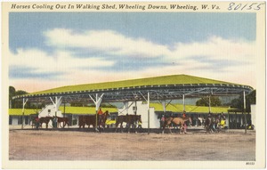 Horses cooling out in walking shed, Wheeling Downs, Wheeling, W. Va.