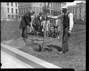 Governor Curley shown at tree planting