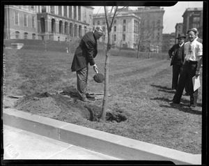 Governor Curley shown at tree planting
