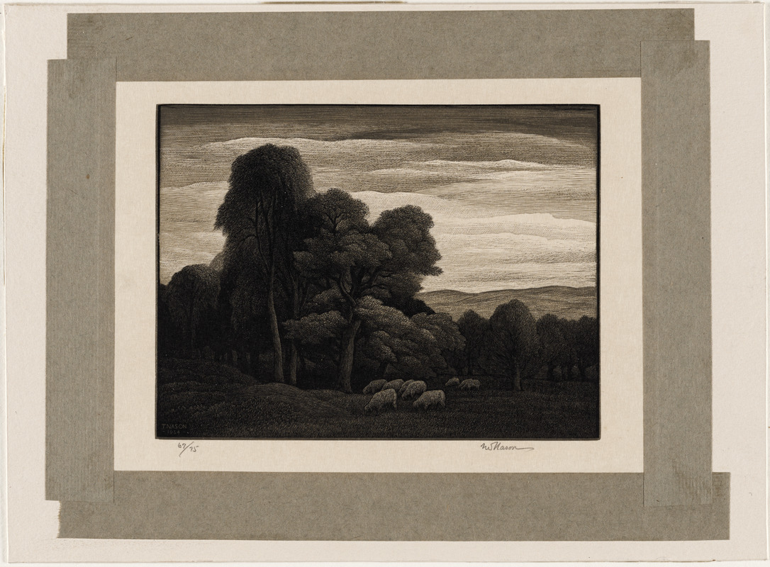 Landscape with sheep