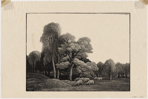 Landscape with sheep