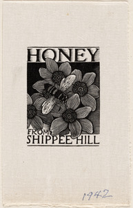 Honey from Shippee Hill