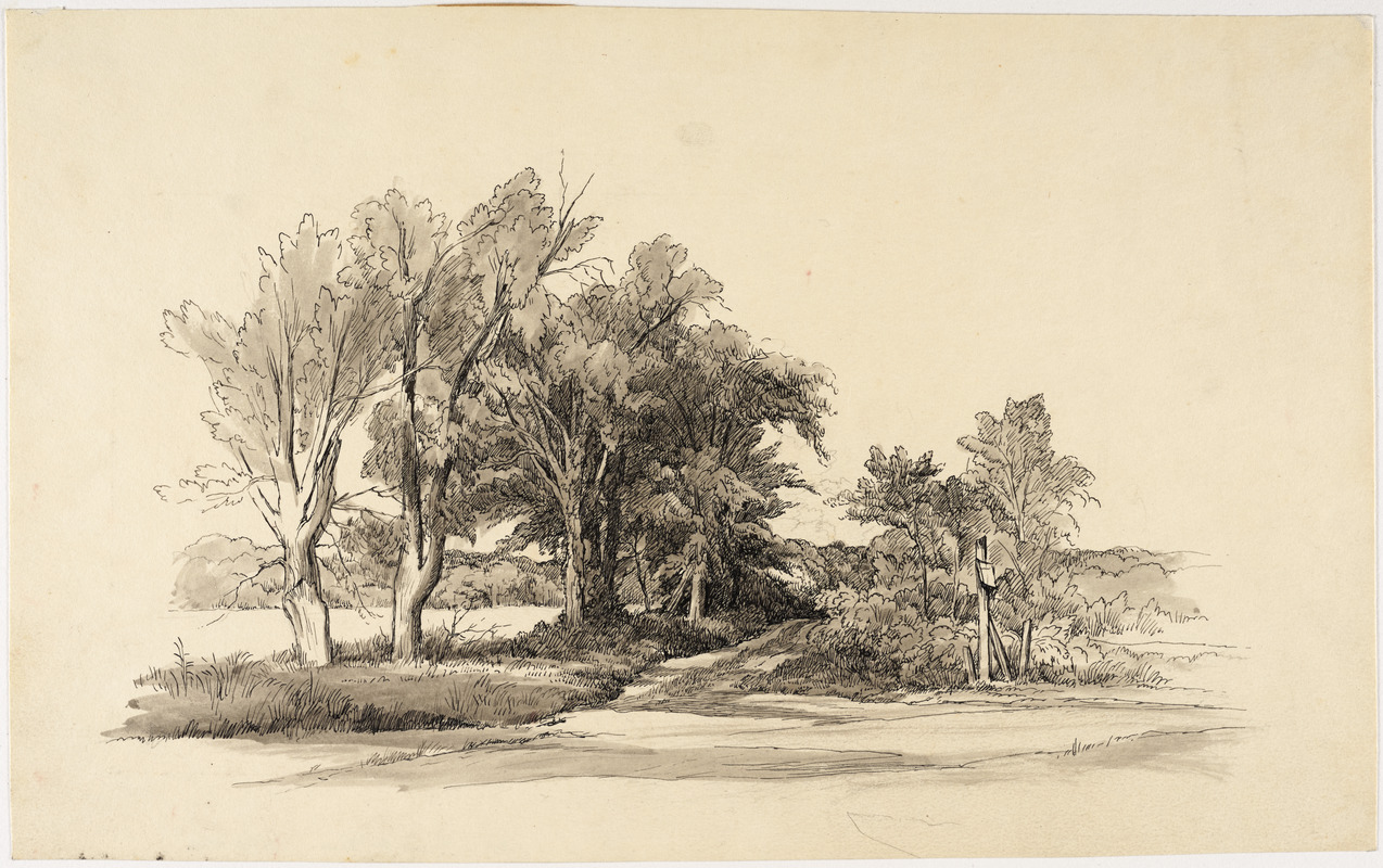 Untitled (country road)