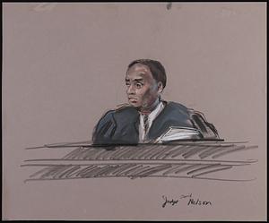 Judge David Nelson