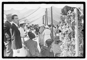 Halsey Fuller coming out party at Rye Beach N.H.