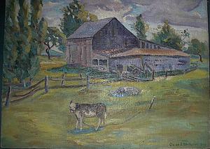 Calf Behind Barn