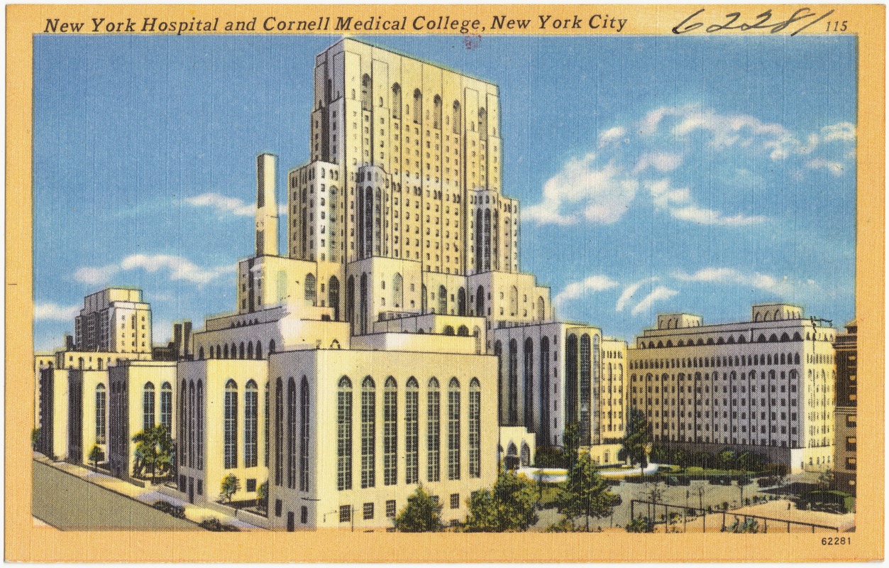 cornell medical school tour