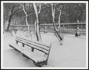 Public Gardens
