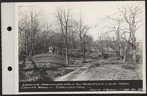 Views of Dane Property, Chestnut Hill Site, Newton Cemetery Site, Boston College Site, looking northwesterly on Reservoir Lane from Crafts Road, Chestnut Hill, Brookline, Mass., Nov. 22, 1941