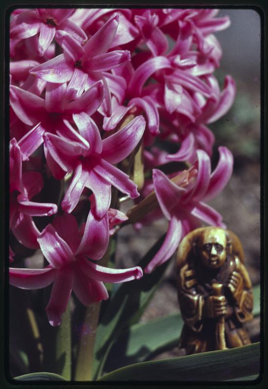 Netsuke + flowers