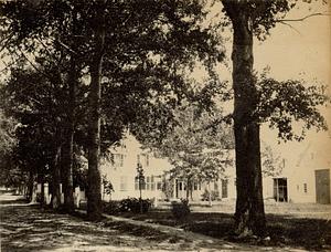 Row of shade trees (elms?), house, and barn, South Yarmouth, Mass.