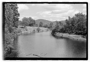 Trees by a river