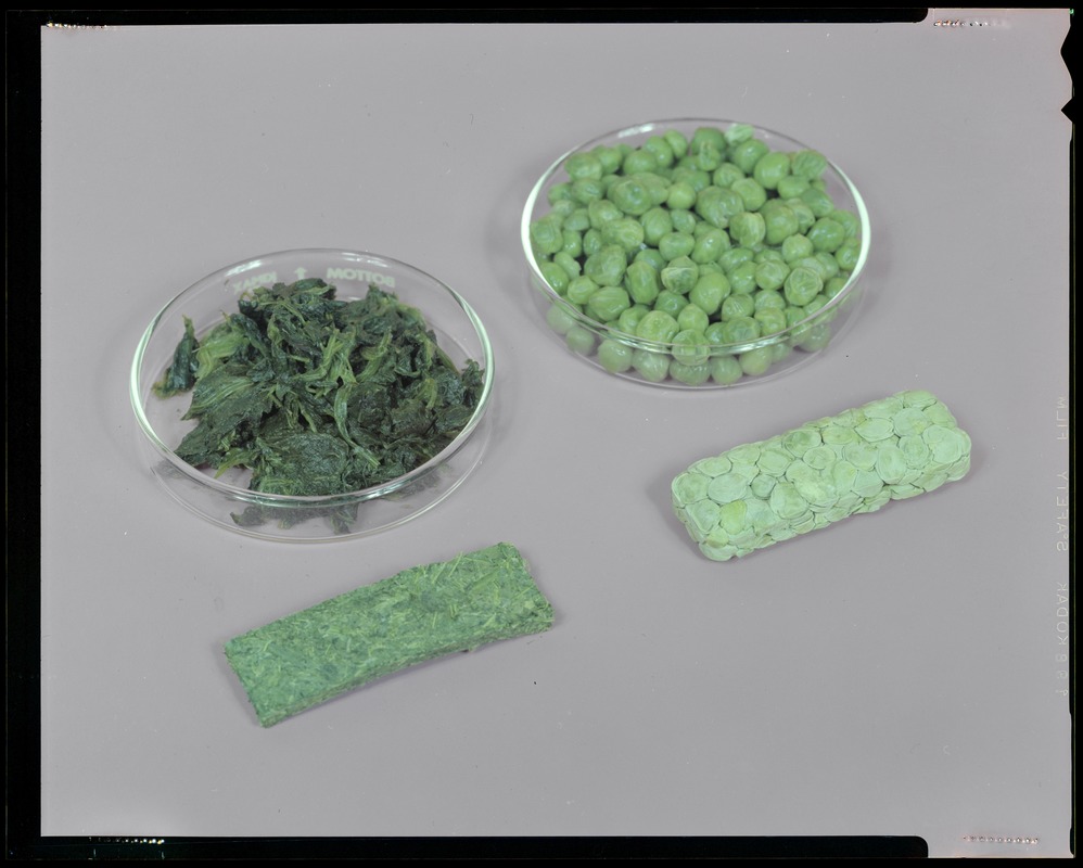 Food lab, AUSA exhibit, compressed F.D. peas + spinach bars before + after rehydration