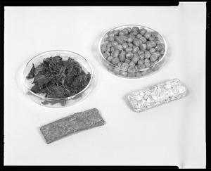 Food lab, AUSA exhibit, compressed F.D. peas + spinach bars before + after rehydration