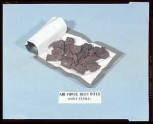 Air Force beef bites (shelf stable)