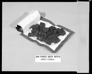 Air Force beef bites (shelf stable)