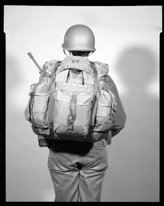 CEMEL- equipment, load-carrying pack (back view)