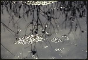 Upper branch of Charles River at Stony Brook, Norfolk